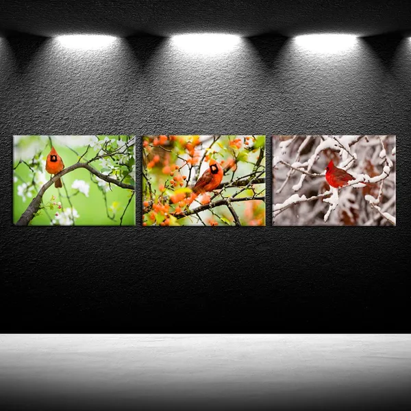 Multicolor_3_Pieces_Canvas_Wall_Art_Northern_Cardinal_Perched_In_A_Tree_Photograph_Printed_On_Canvas_Animal_Poster_Giclee_Artwork_Ready_To_Hang_|_For_Home_Wall_Decoration_12X16Inchx3Pcs