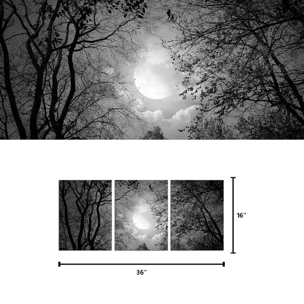 Black_And_White_Black_And_White_Full_Moon_|_Forest_Trees_Picture_Goth_Room_Decor_Canvas_Wall_Art_Framed_Artwork_Gothic_Home_Decor_Living_Room_Bedroom_Home_Office_Decoration_3_Piece