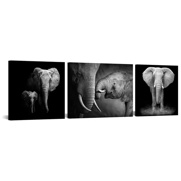 Black_Animal_Wall_Art_Black_And_White_Elephant_Pictures_African_Animals_Painting_Framed_Artwork_Living_Room_Bedroom_Decor_12X12Inchx2_Pieces+12X16Inchx1Piece