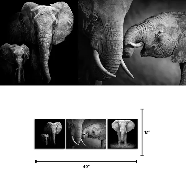 Black_Animal_Wall_Art_Black_And_White_Elephant_Pictures_African_Animals_Painting_Framed_Artwork_Living_Room_Bedroom_Decor_12X12Inchx2_Pieces+12X16Inchx1Piece