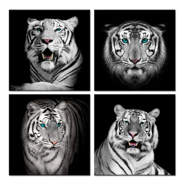 Multicolor_Black_And_White_Animals_Wall_Art,Tiger_Giclee_Canvas_Prints,Modern_Tigers_Wall_Decor,Photo_To_Picture_Painting_Prints,Framed_And_Stretched,Home_Wall_Decoration_(Framed,_Tiger)