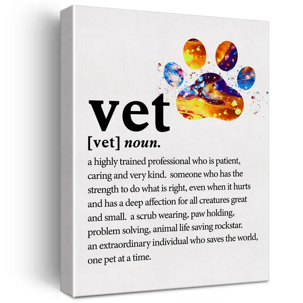 Multicolor_Thank_You_Vet_Canvas_Wall_Art_Motivational_Vet_Definition_Canvas_Print_Positive_Canvas_Painting_Home_Office_Wall_Decor_Framed_Vet_Gift_12"X15"_Ready_To_Hang
