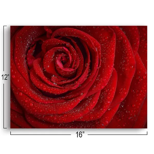 Multicolor_Canvas_Wall_Art_Dew_On_The_Red_Rose_Pictures_|_For_Home_Decoration_Modern_Giclee_Landscape_Painting_12X16_In_1_Panel_Stretched_And_Framed_Ready_To_Hang