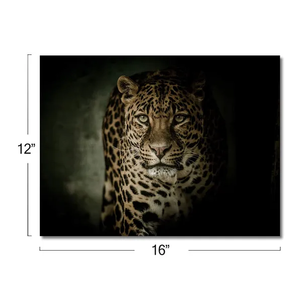 Multicolor_Leopard_Canvas_Wall_Art_Animal_Pictures_|_For_Living_Room_Cheetah_Picture_|_For_Bedroom_Wildlife_Pictures_|_For_Bathroom_Framed_Black_Wall_Decor_Office_Modern_Decoration_12X16_Inches,_1_Panel