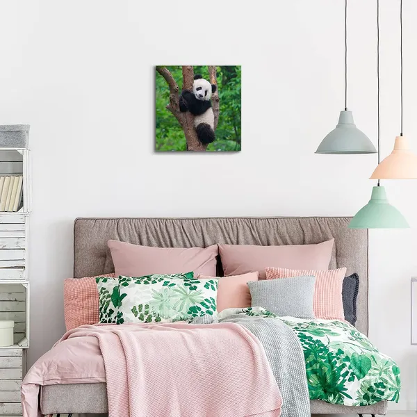 Multicolor_Black_And_White_Animal_Wall_Art_Cute_Panda_Poster_Picture_Canvas_Prints_Green_Painting_Walls_Decor_|_For_Bedroom_Bathroom_Nursery_Framed_Artwork_Home_Decoration_12"X12"_1_Piece