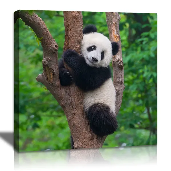 Multicolor_Black_And_White_Animal_Wall_Art_Cute_Panda_Poster_Picture_Canvas_Prints_Green_Painting_Walls_Decor_|_For_Bedroom_Bathroom_Nursery_Framed_Artwork_Home_Decoration_12"X12"_1_Piece