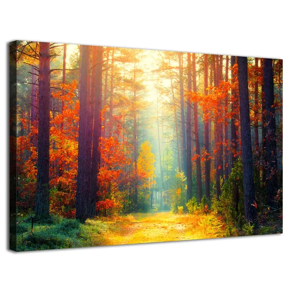 Multicolor_Fall_|_Forest_Canvas_Wall_Art_Autumn_Tree_Scenery_Wall_Decor_|_For_Living_Room_Bedroom_Nature_Landscape_Prints_Pictures_Sunshine_Orange_Maple_Leaves_Paintings_Artwork_Dining_Room_Home_Decorations_12X16