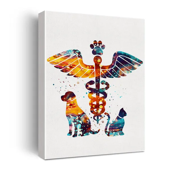 Multicolor_Veterinary_Caduceus_Watercolor_Poster_Canvas_Wall_Art_|_For_Homevet_Clinicanimal_Hospital_Decor_Dog_Cat_Clinic_Canvas_Print_Wall_Art_Painting_Ready_To_Hang_Musician_Gifts_Easel_&_Hanging_Hook