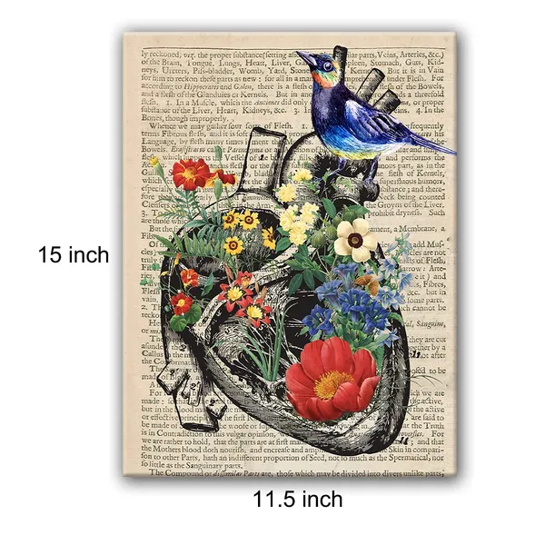 Multicolor_Anatomy_Art_Print_Poster_Canvas_Wall_Art_|_For_Home/Doctor_Office/Medical_School_Decor_-_Easel_&_Hanging_Hook_12_X_16_Inch