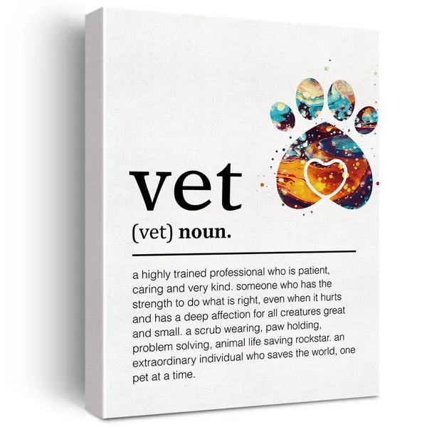 Multicolor_Thank_You_Vet_Canvas_Wall_Art_Motivational_Vet_Definition_Canvas_Print_Positive_Canvas_Painting_Home_Office_Wall_Decor_Framed_Vet_Gift_12_X_16_Inch