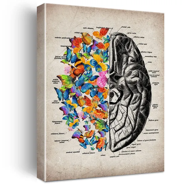 Multicolor_Brain_Art_Butterfly_Anatomy_Canvas_Wall_Art_Human_Brain_Canvas_Print_Medical_Painting_Wall_Decor_Framed_Psychology_Gift_12_X_16_Inch