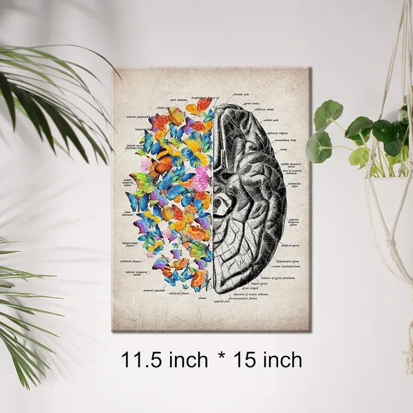 Multicolor_Brain_Art_Butterfly_Anatomy_Canvas_Wall_Art_Human_Brain_Canvas_Print_Medical_Painting_Wall_Decor_Framed_Psychology_Gift_12_X_16_Inch