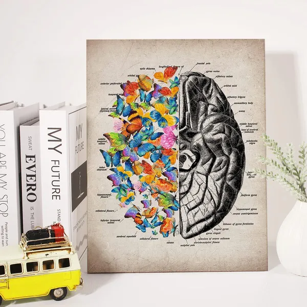 Multicolor_Brain_Art_Butterfly_Anatomy_Canvas_Wall_Art_Human_Brain_Canvas_Print_Medical_Painting_Wall_Decor_Framed_Psychology_Gift_12_X_16_Inch