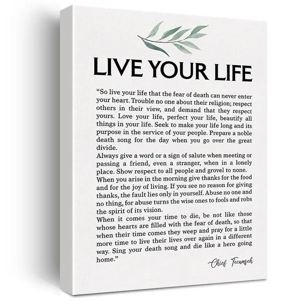 Multicolor_Live_Your_Life_Quote_Canvas_Wall_Art_Motivational_Canvas_Print_Positive_Canvas_Painting_Office_Home_Wall_Decor_Framed_Gift_12_X_16_Inch
