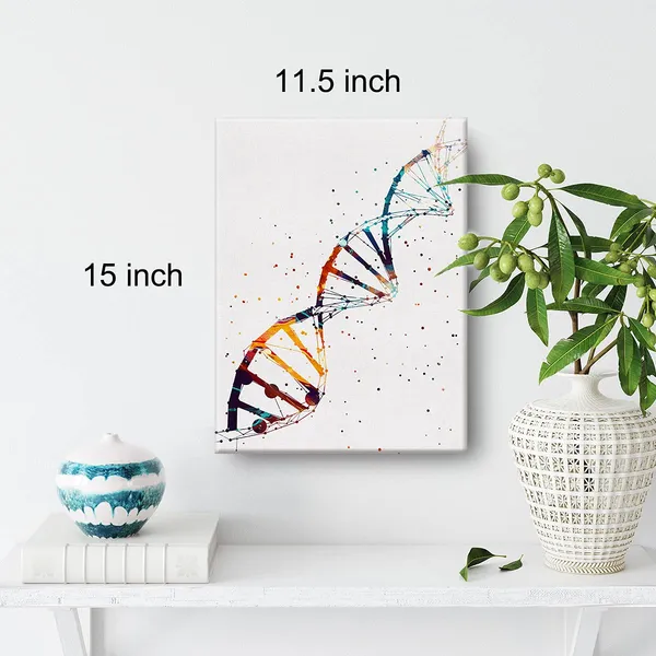 Multicolor_Watercolor_Dna_Science_Art_Canvas_Painting_Abstract_Dna_Single_Helix_Prints_Art_|_For_Home_Living_Room_Wall_Decor_Framed_Genetics_Artwork_Gifts(12_X_16_Inch)