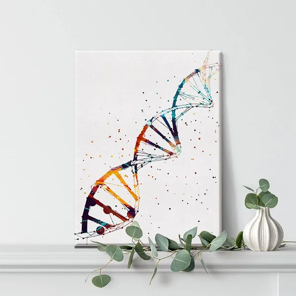 Multicolor_Watercolor_Dna_Science_Art_Canvas_Painting_Abstract_Dna_Single_Helix_Prints_Art_|_For_Home_Living_Room_Wall_Decor_Framed_Genetics_Artwork_Gifts(12_X_16_Inch)