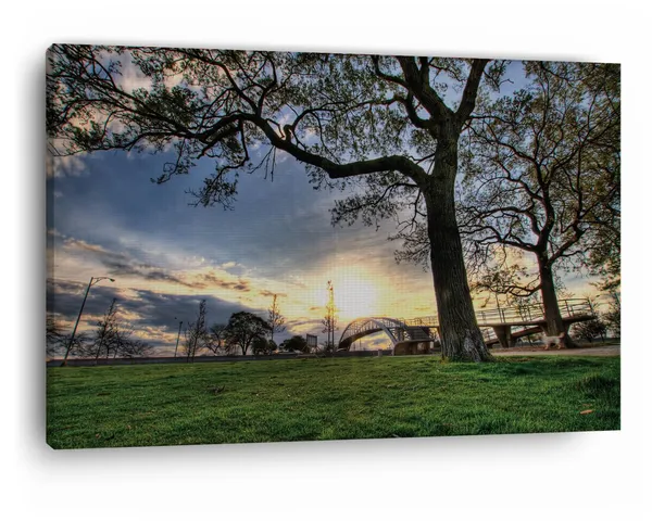 Multicolor_Trees,_Landscapes,_Grass,_Wooden_Framed_Canvas_Paintings_|_For_Home_Decor_|_Bedroom,_Living_Room,Wall_Decoration_|_Wall_Art_Painting,_Ct0450,_Size_16_X_24_In