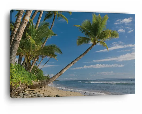 Multicolor_Palm_Tree_On_Sand_Beach,_Wooden_Framed_Canvas_Paintings_|_For_Home_Decor_|_Bedroom,_Living_Room,Wall_Decoration_|_Wall_Art_Painting,_Ct0629,_Size_16_X_24_In
