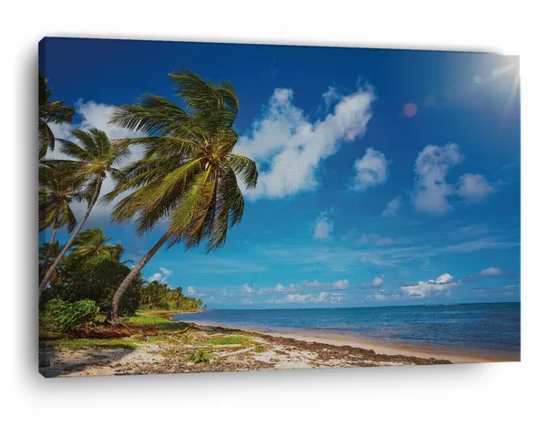 Multicolor_Jamaica_Beach,_Wooden_Framed_Canvas_Paintings_|_For_Home_Decor_|_Bedroom,_Living_Room,Wall_Decoration_|_Wall_Art_Painting,_Ct0635,_Size_16_X_24_In