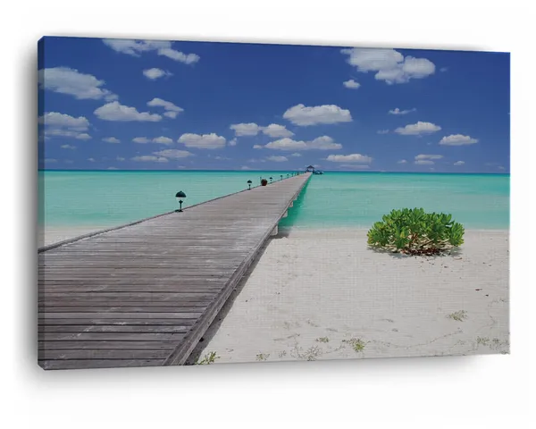 Multicolor_Maldives,_Wooden_Framed_Canvas_Paintings_|_For_Home_Decor_|_Bedroom,_Living_Room,Wall_Decoration_|_Wall_Art_Painting,_Ct0689,_Size_16_X_24_In