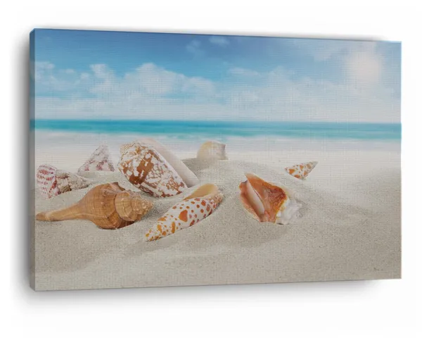 Multicolor_Seashell_Beach,_Wooden_Framed_Canvas_Paintings_|_For_Home_Decor_|_Bedroom,_Living_Room,Wall_Decoration_|_Wall_Art_Painting,_Ct0709,_Size_16_X_24_In