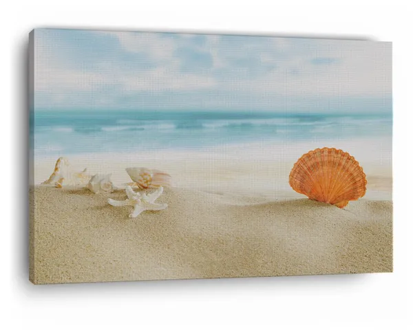 Multicolor_Beach_Beautiful_Shell,_Wooden_Framed_Canvas_Paintings_|_For_Home_Decor_|_Bedroom,_Living_Room,Wall_Decoration_|_Wall_Art_Painting,_Ct0710,_Size_16_X_24_In