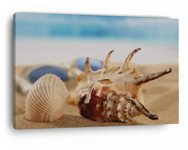 Multicolor_Seven_Horned_Conch_Grass_Jar,_Wooden_Framed_Canvas_Paintings_|_For_Home_Decor_|_Bedroom,_Living_Room,Wall_Decoration_|_Wall_Art_Painting,_Ct0713,_Size_16_X_24_In