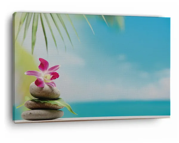 Multicolor_Beach_Spa_Beauty_Flowers_Stones,_Wooden_Framed_Canvas_Paintings_|_For_Home_Decor_|_Bedroom,_Living_Room,Wall_Decoration_|_Wall_Art_Painting,_Ct0716,_Size_16_X_24_In
