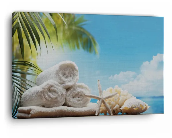 Multicolor_Spa_-_Set,_Starfish,_Flowers,_Wooden_Framed_Canvas_Paintings_|_For_Home_Decor_|_Bedroom,_Living_Room,Wall_Decoration_|_Wall_Art_Painting,_Ct0717,_Size_16_X_24_In