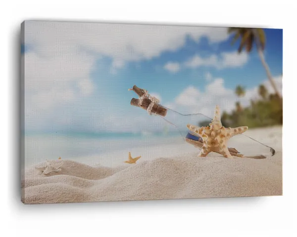 Multicolor_Closeup_View_Of_Bottle_Star_Shell,_Wooden_Framed_Canvas_Paintings_|_For_Home_Decor_|_Bedroom,_Living_Room,Wall_Decoration_|_Wall_Art_Painting,_Ct0721,_Size_16_X_24_In