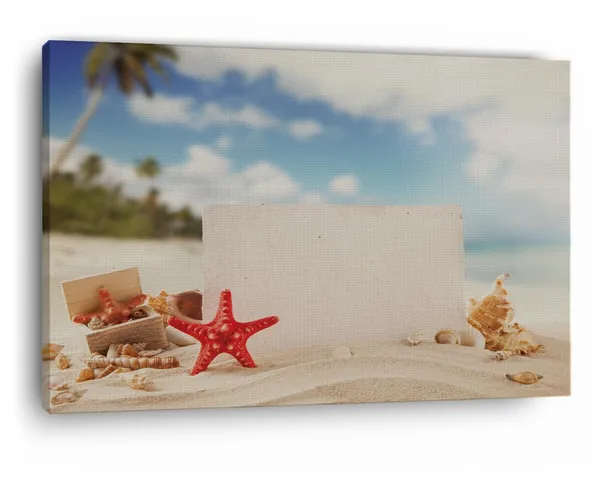 Multicolor_Beach_Starfish_Empty_Paper,_Wooden_Framed_Canvas_Paintings_|_For_Home_Decor_|_Bedroom,_Living_Room,Wall_Decoration_|_Wall_Art_Painting,_Ct0724,_Size_16_X_24_In