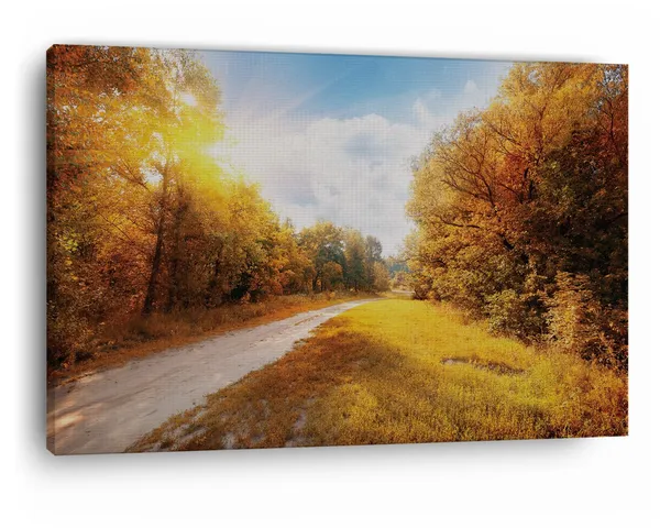 Multicolor_Beautiful_Autumn_Landscape_In_Warm_Colors,_Wooden_Framed_Canvas_Paintings_|_For_Home_Decor_|_Bedroom,_Living_Room,Wall_Decoration_|_Wall_Art_Painting,_Ct0796,_Size_16_X_24_In