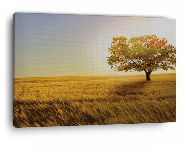 Multicolor_Yellow_Tree_Field,_Wooden_Framed_Canvas_Paintings_|_For_Home_Decor_|_Bedroom,_Living_Room,Wall_Decoration_|_Wall_Art_Painting,_Ct0797,_Size_16_X_24_In