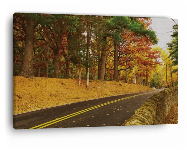 Multicolor_Abstract,_Wooden_Framed_Canvas_Paintings_|_For_Home_Decor_|_Bedroom,_Living_Room,Wall_Decoration_|_Wall_Art_Painting,_Ct0798,_Size_16_X_24_In