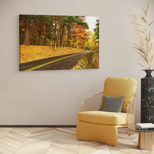 Multicolor_Abstract,_Wooden_Framed_Canvas_Paintings_|_For_Home_Decor_|_Bedroom,_Living_Room,Wall_Decoration_|_Wall_Art_Painting,_Ct0798,_Size_16_X_24_In