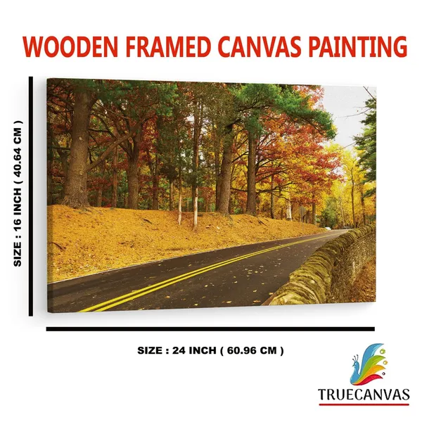 Multicolor_Abstract,_Wooden_Framed_Canvas_Paintings_|_For_Home_Decor_|_Bedroom,_Living_Room,Wall_Decoration_|_Wall_Art_Painting,_Ct0798,_Size_16_X_24_In