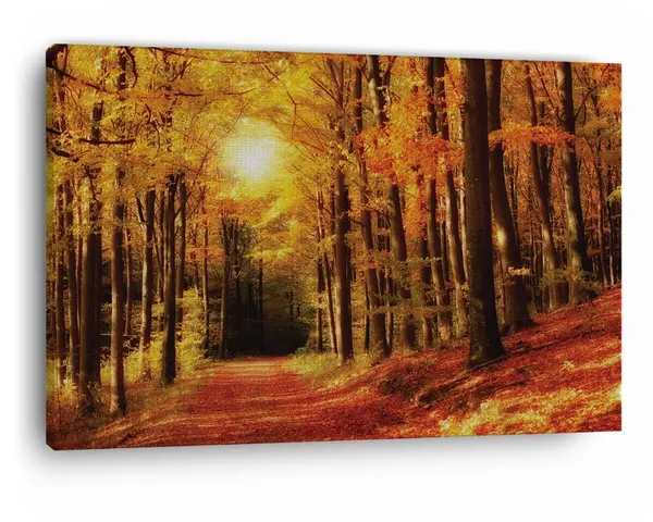 Multicolor_Abstract,_Wooden_Framed_Canvas_Paintings_|_For_Home_Decor_|_Bedroom,_Living_Room,Wall_Decoration_|_Wall_Art_Painting,_Ct0800,_Size_16_X_24_In