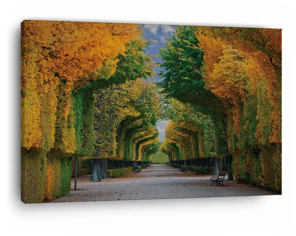 Multicolor_Schonbrunn_Palace_Vienna,_Wooden_Framed_Canvas_Paintings_|_For_Home_Decor_|_Bedroom,_Living_Room,Wall_Decoration_|_Wall_Art_Painting,_Ct0801,_Size_16_X_24_In