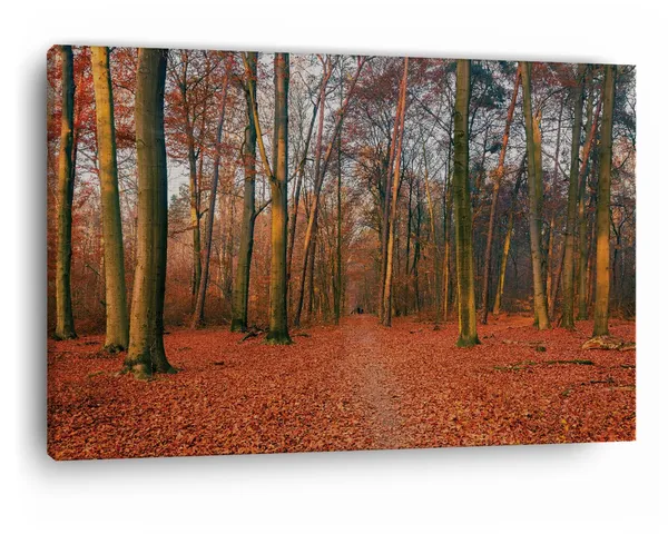 Multicolor_Netherlands_In_Beautiful_Golden,_Wooden_Framed_Canvas_Paintings_|_For_Home_Decor_|_Bedroom,_Living_Room,Wall_Decoration_|_Wall_Art_Painting,_Ct0804,_Size_16_X_24_In