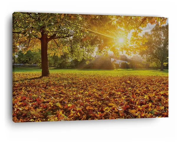 Multicolor_Abstract,_Wooden_Framed_Canvas_Paintings_|_For_Home_Decor_|_Bedroom,_Living_Room,Wall_Decoration_|_Wall_Art_Painting,_Ct0805,_Size_16_X_24_In