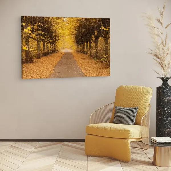Multicolor_Abstract,_Wooden_Framed_Canvas_Paitings_|_For_Home_Decor_|_Bedroom,_Living_Room,Wall_Decoration_|_Wall_Art_Painting,_Ct0807,_Size_16_X_24_In