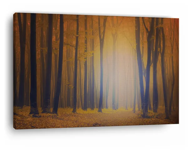 Multicolor_Beech_Trees_Ian_Thomson,_Wooden_Framed_Canvas_Paintings_|_For_Home_Decor_|_Bedroom,_Living_Room,Wall_Decoration_|_Wall_Art_Painting,_Ct0808,_Size_16_X_24_In