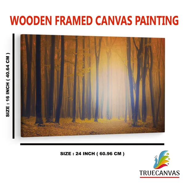 Multicolor_Beech_Trees_Ian_Thomson,_Wooden_Framed_Canvas_Paintings_|_For_Home_Decor_|_Bedroom,_Living_Room,Wall_Decoration_|_Wall_Art_Painting,_Ct0808,_Size_16_X_24_In