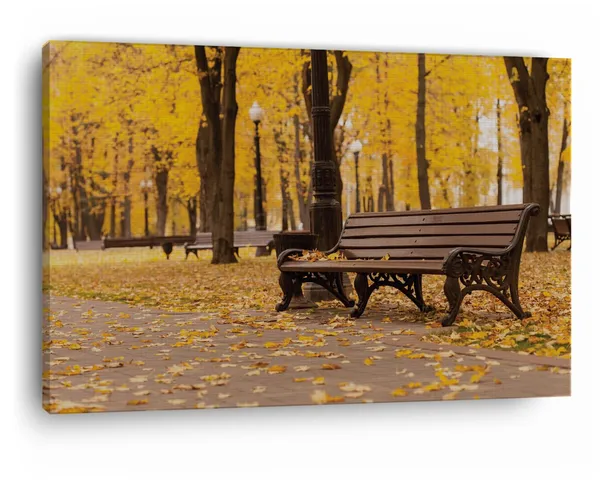 Multicolor_Autumn_Park_Bench_Scene_Nature_Mural,_Wooden_Framed_Canvas_Paintings_|_For_Home_Decor_|_Bedroom,_Living_Room,Wall_Decoration_|_Wall_Art_Painting,_Ct0809,_Size_16_X_24_In