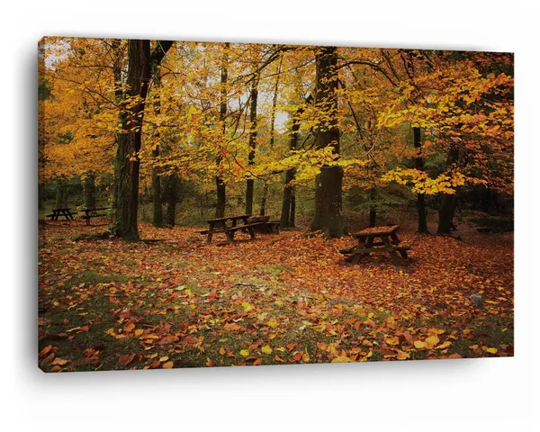 Multicolor_Abstract,_Wooden_Framed_Canvas_Paintings_|_For_Home_Decor_|_Bedroom,_Living_Room,Wall_Decoration_|_Wall_Art_Painting,_Ct0810,_Size_16_X_24_In