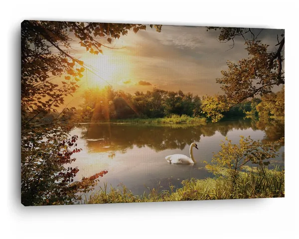 Multicolor_Papermoon_Fototapete_Schwan,_Wooden_Framed_Canvas_Paintings_|_For_Home_Decor_|_Bedroom,_Living_Room,Wall_Decoration_|_Wall_Art_Painting,_Ct0811,_Size_16_X_24_In