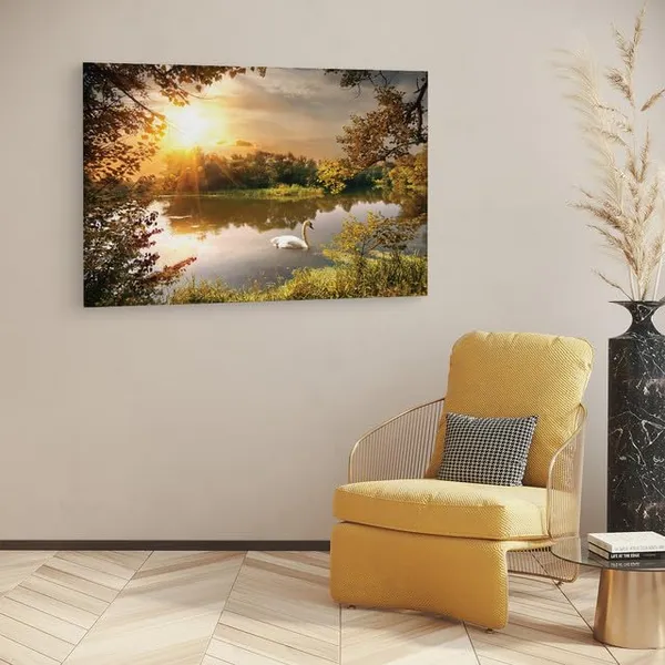 Multicolor_Papermoon_Fototapete_Schwan,_Wooden_Framed_Canvas_Paintings_|_For_Home_Decor_|_Bedroom,_Living_Room,Wall_Decoration_|_Wall_Art_Painting,_Ct0811,_Size_16_X_24_In