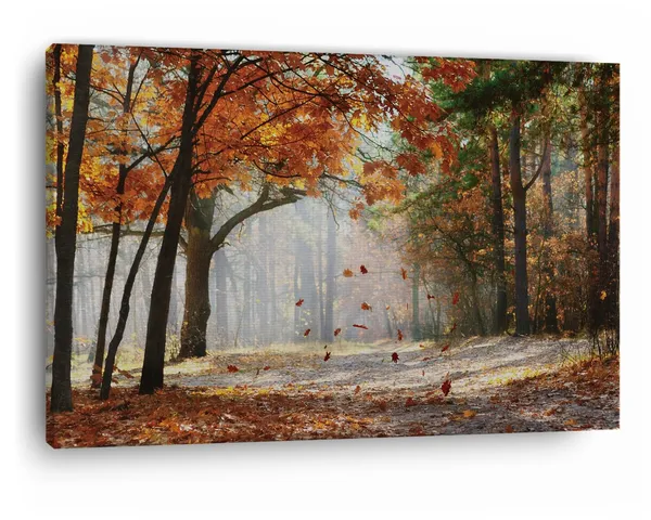 Multicolor_Falling_Autumn_Leaves,_Wooden_Framed_Canvas_Paintings_|_For_Home_Decor_|_Bedroom,_Living_Room,Wall_Decoration_|_Wall_Art_Painting,_Ct0812,_Size_16_X_24_In