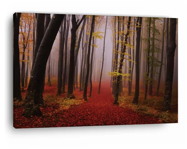 Multicolor_Autumn_|_Forest_Path,_Wooden_Framed_Canvas_Paintings_|_For_Home_Decor_|_Bedroom,_Living_Room,Wall_Decoration_|_Wall_Art_Painting,_Ct0814,_Size_16_X_24_In