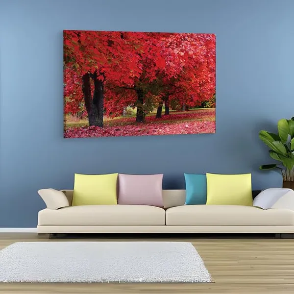 Multicolor_Maple_Tree,_Wooden_Framed_Canvas_Paintings_|_For_Home_Decor_|_Bedroom,_Living_Room,Wall_Decoration_|_Wall_Art_Painting,_Ct0816,_Size_16_X_24_In